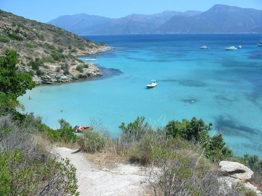 Studio Centre Ville Saint-Florent A 100M De La Mer المظهر الخارجي الصورة